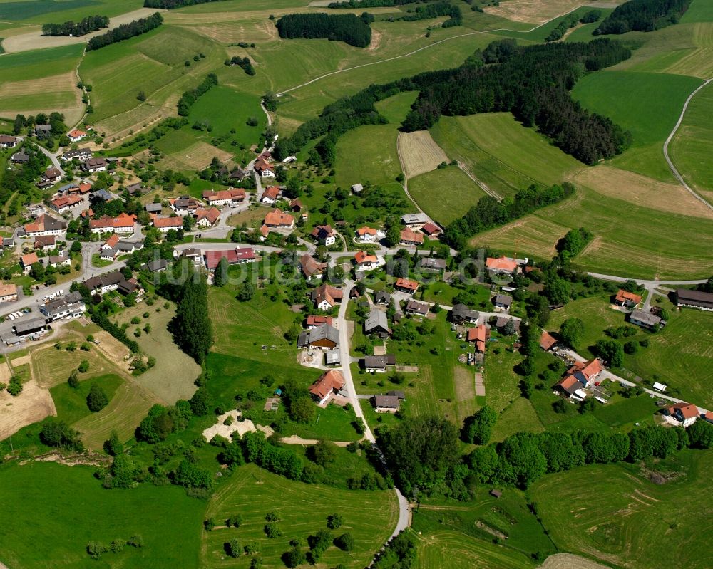 Luftbild Waldshut-Tiengen - Dorfkern am Feldrand in Waldshut-Tiengen im Bundesland Baden-Württemberg, Deutschland