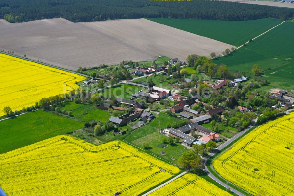 Wallstawe von oben - Dorfkern am Feldrand in Wallstawe im Bundesland Sachsen-Anhalt, Deutschland