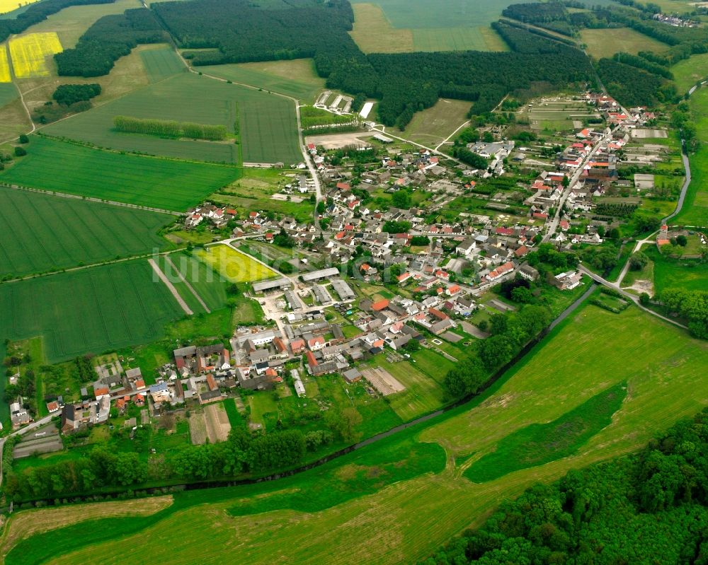 Luftaufnahme Walternienburg - Dorfkern am Feldrand in Walternienburg im Bundesland Sachsen-Anhalt, Deutschland