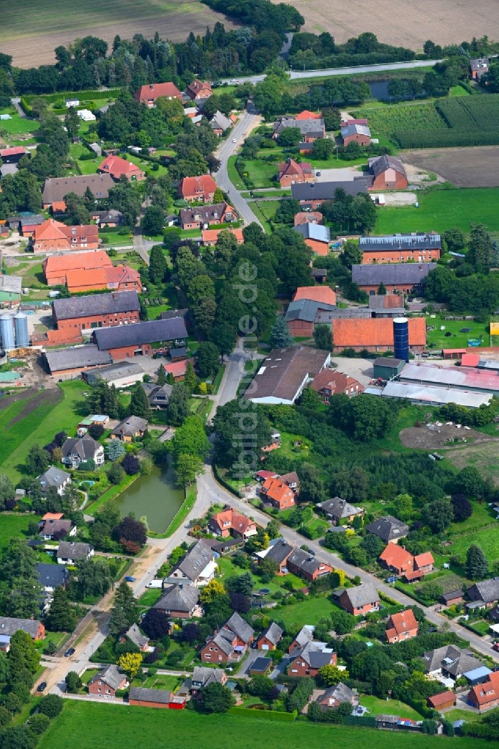 Wangelau von oben - Dorfkern am Feldrand in Wangelau im Bundesland Schleswig-Holstein, Deutschland