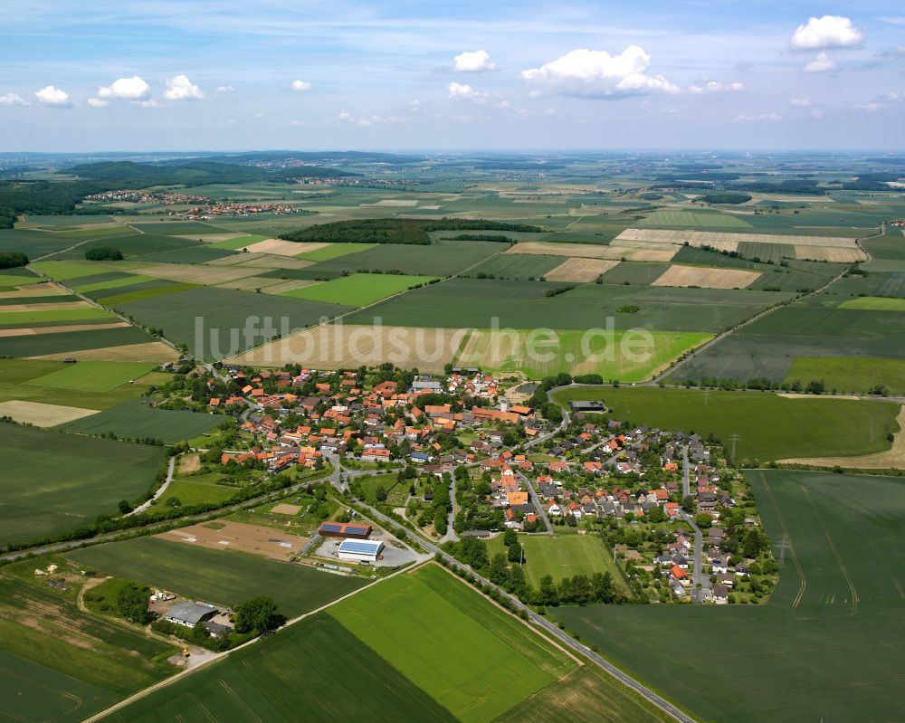 Weddingen von oben - Dorfkern am Feldrand in Weddingen im Bundesland Niedersachsen, Deutschland