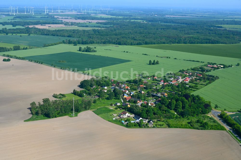 Luftaufnahme Wendisch Baggendorf - Dorfkern am Feldrand in Wendisch Baggendorf im Bundesland Mecklenburg-Vorpommern, Deutschland
