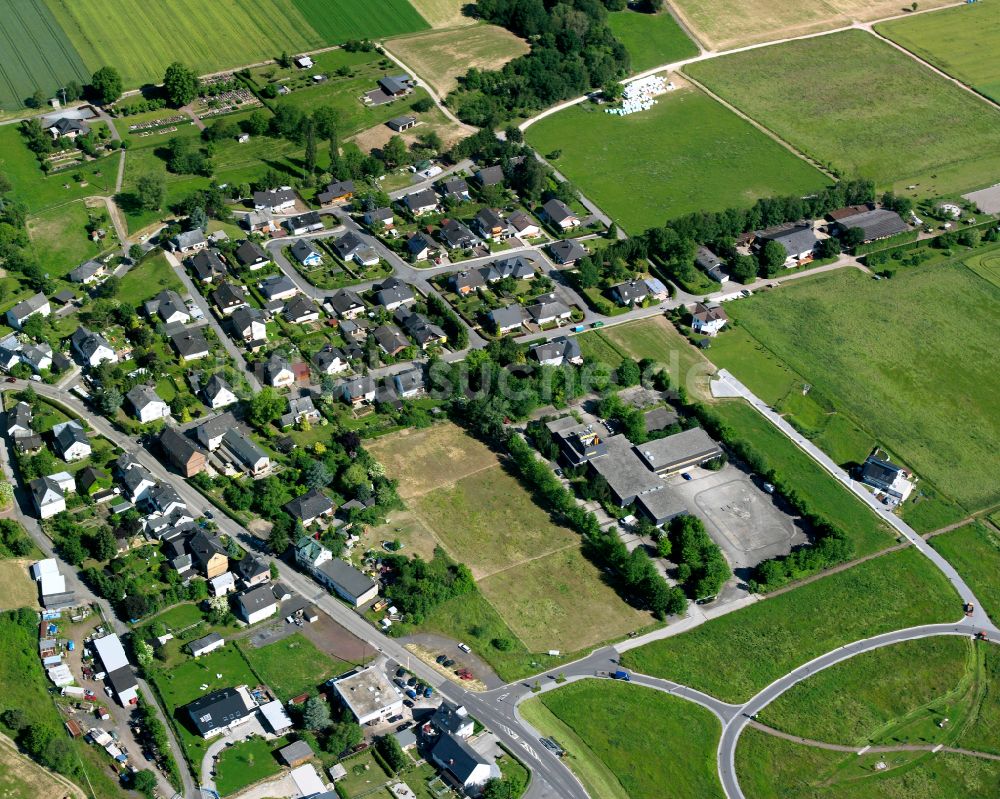 Werlau aus der Vogelperspektive: Dorfkern am Feldrand in Werlau im Bundesland Rheinland-Pfalz, Deutschland