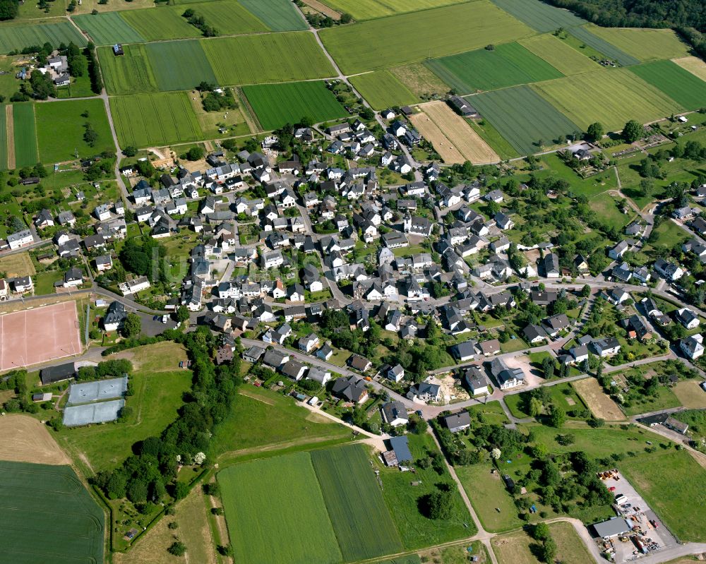 Luftbild Werlau - Dorfkern am Feldrand in Werlau im Bundesland Rheinland-Pfalz, Deutschland