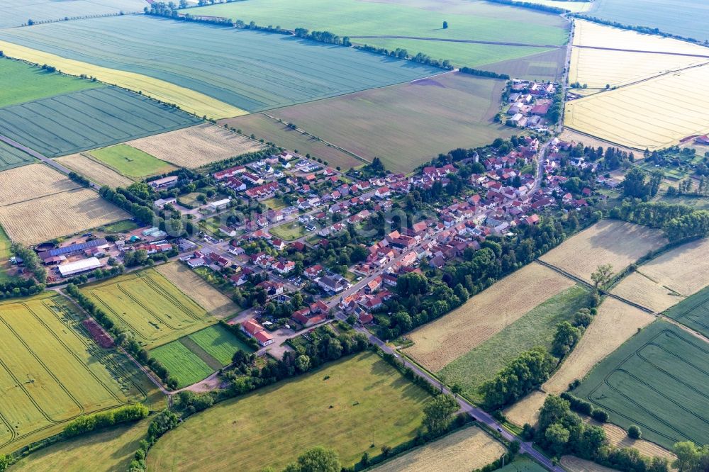 Westhausen aus der Vogelperspektive: Dorfkern am Feldrand in Westhausen im Bundesland Thüringen, Deutschland