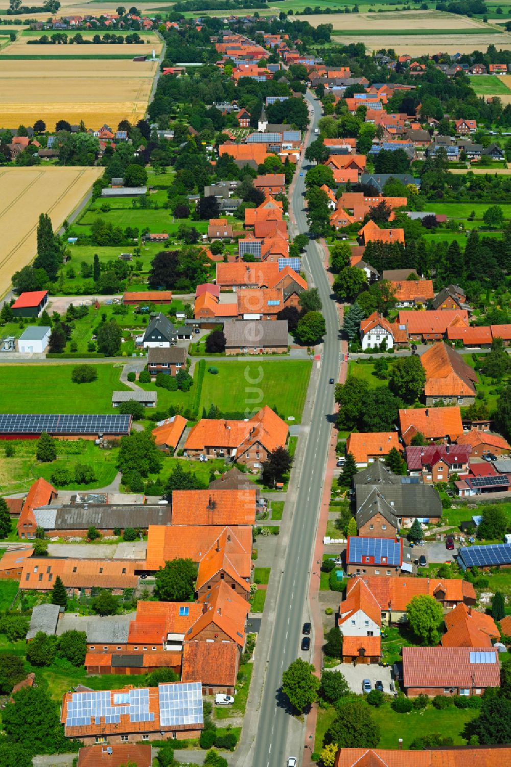 Luftaufnahme Wiedensahl Flecken - Dorfkern am Feldrand in Wiedensahl Flecken im Bundesland Niedersachsen, Deutschland