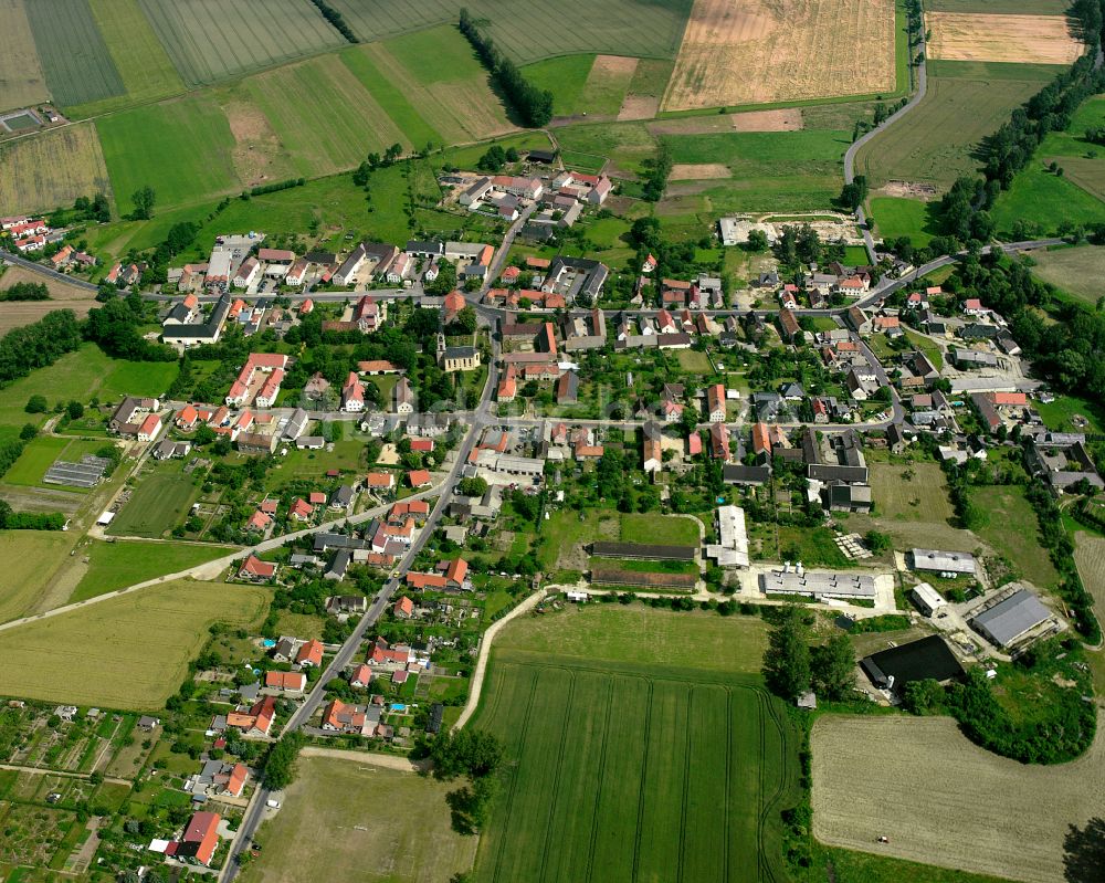 Wildenhain aus der Vogelperspektive: Dorfkern am Feldrand in Wildenhain im Bundesland Sachsen, Deutschland