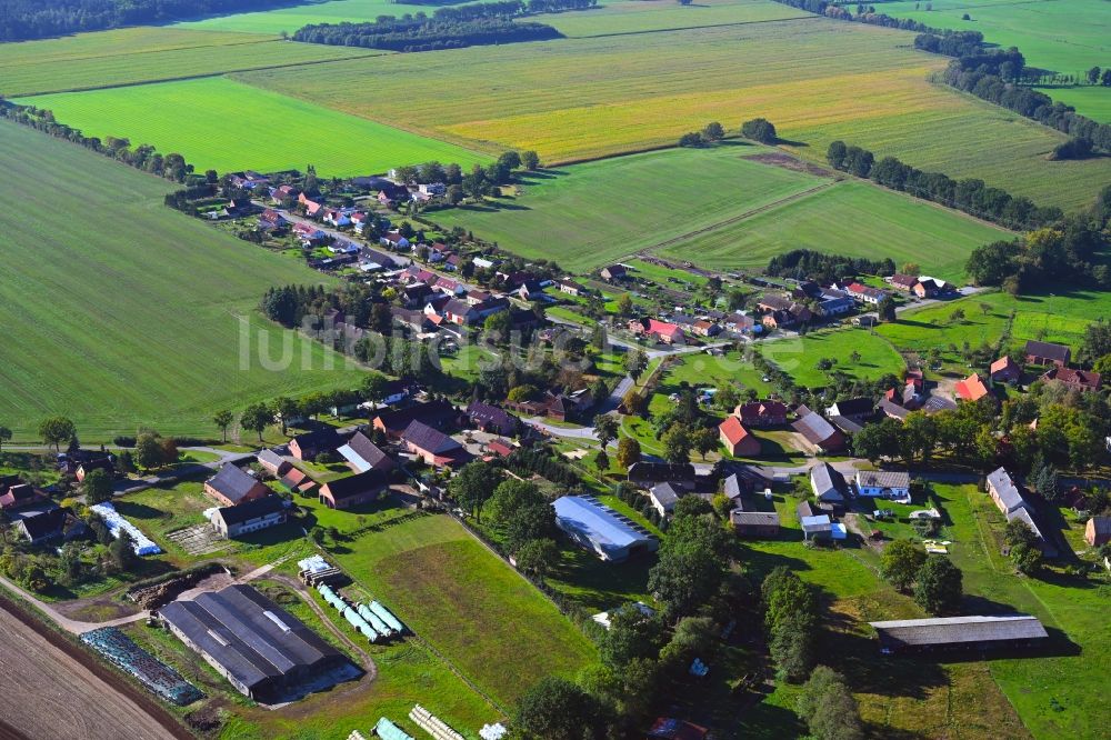 Wulfsahl von oben - Dorfkern am Feldrand in Wulfsahl im Bundesland Mecklenburg-Vorpommern, Deutschland