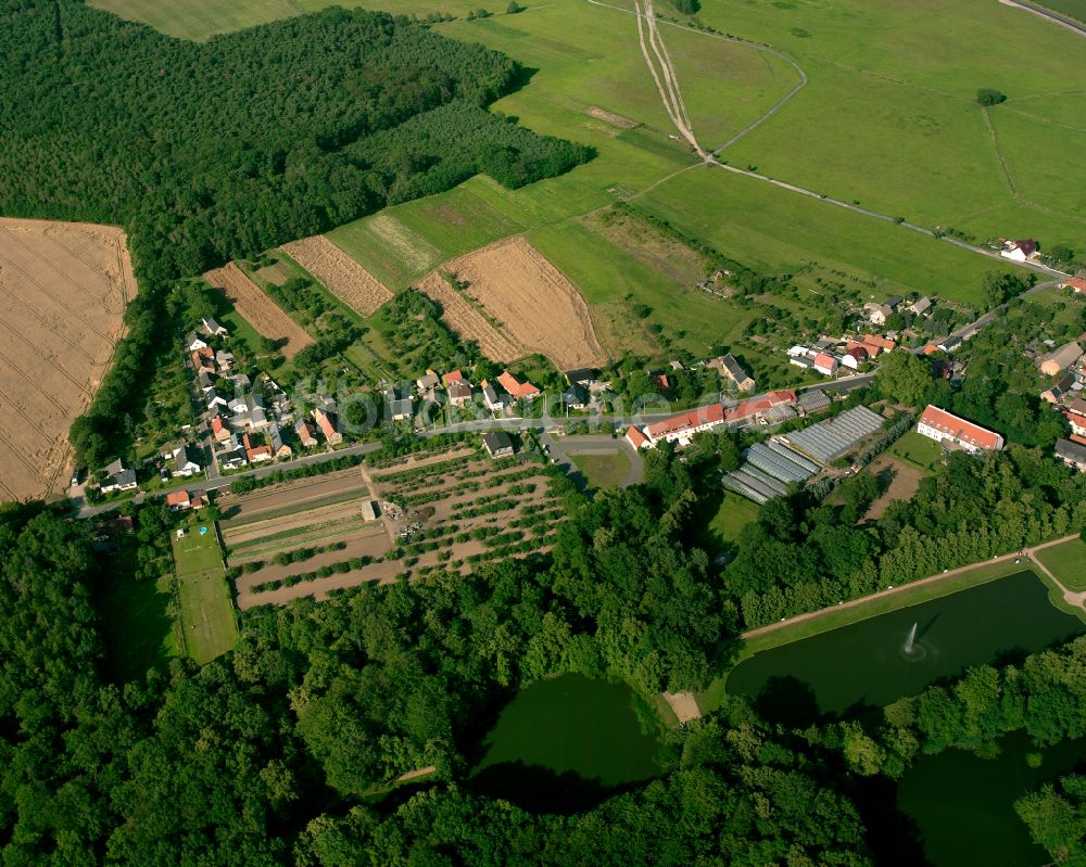 Luftbild Zabeltitz - Dorfkern am Feldrand in Zabeltitz im Bundesland Sachsen, Deutschland