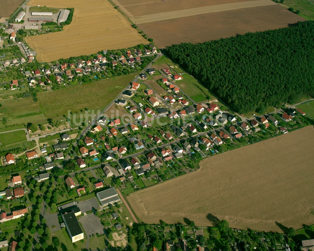 Luftaufnahme Zabeltitz - Dorfkern am Feldrand in Zabeltitz im Bundesland Sachsen, Deutschland