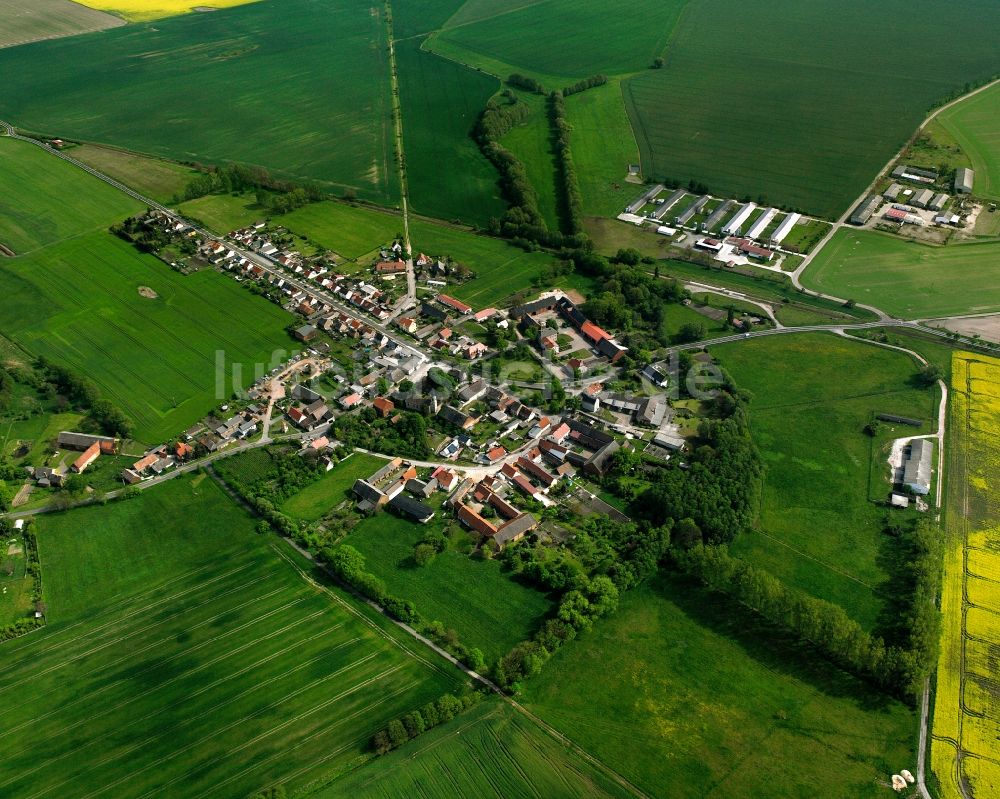 Zeppernick von oben - Dorfkern am Feldrand in Zeppernick im Bundesland Sachsen-Anhalt, Deutschland