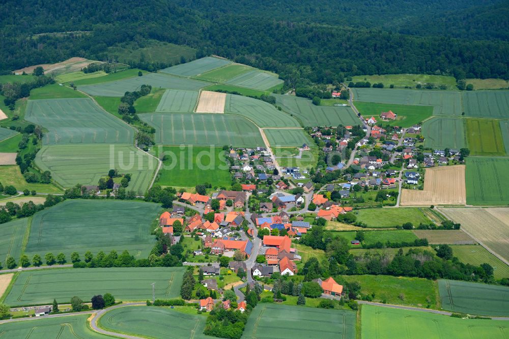 Zersen von oben - Dorfkern am Feldrand in Zersen im Bundesland Niedersachsen, Deutschland