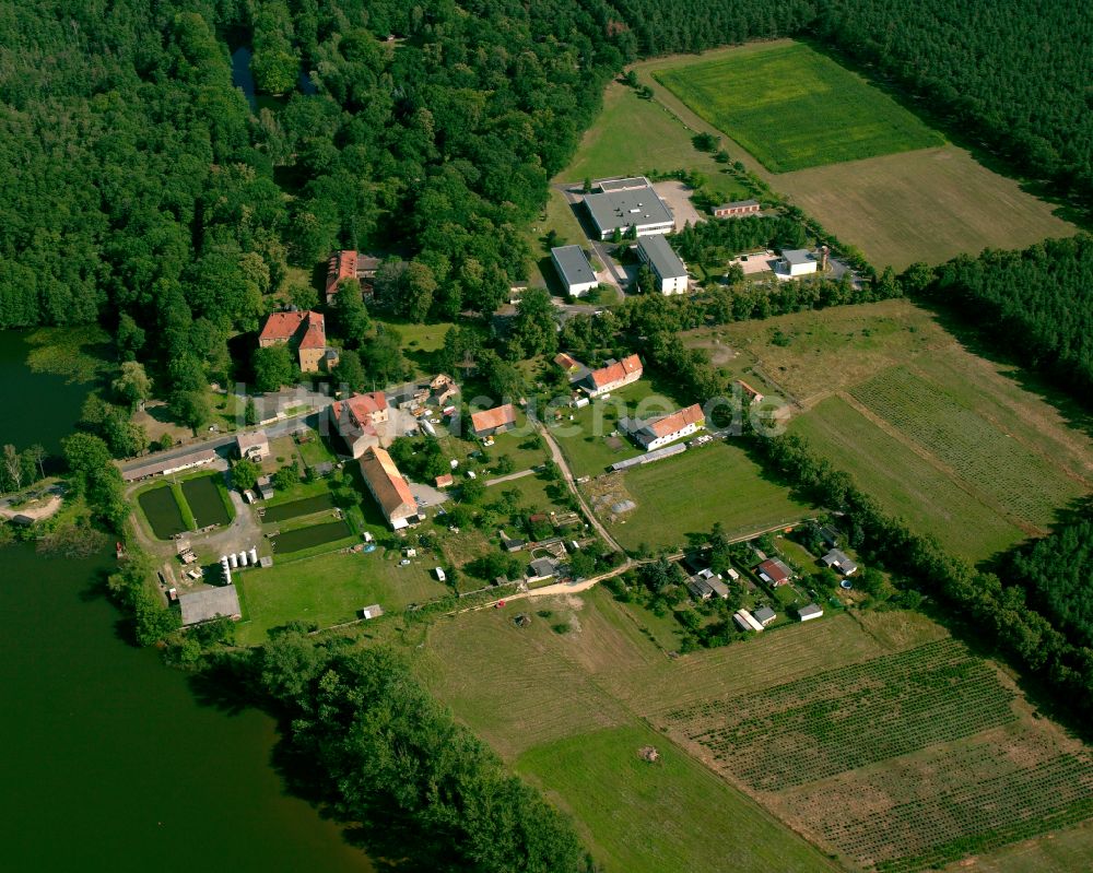 Luftbild Zschorna - Dorfkern am Feldrand in Zschorna im Bundesland Sachsen, Deutschland