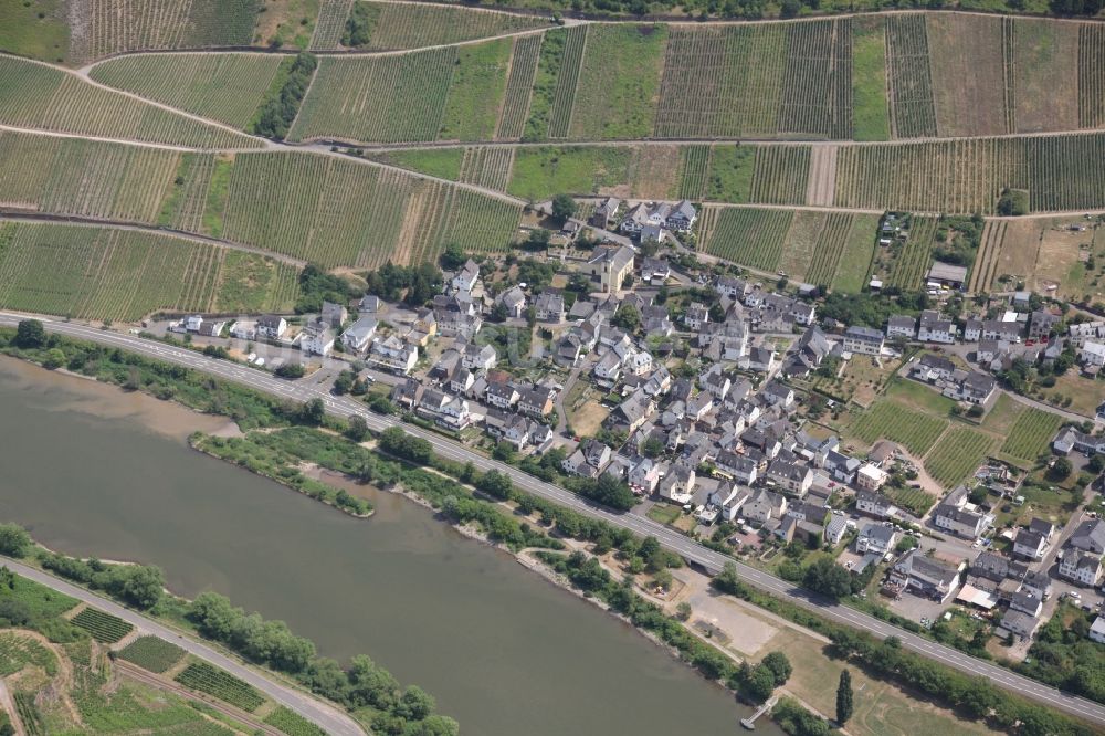 Burg(Mosel) von oben - Dorfkern an den Fluss- Uferbereichen der Mosel in Burg(Mosel) im Bundesland Rheinland-Pfalz, Deutschland