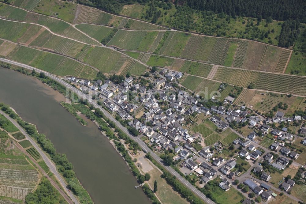 Burg(Mosel) aus der Vogelperspektive: Dorfkern an den Fluss- Uferbereichen der Mosel in Burg(Mosel) im Bundesland Rheinland-Pfalz, Deutschland