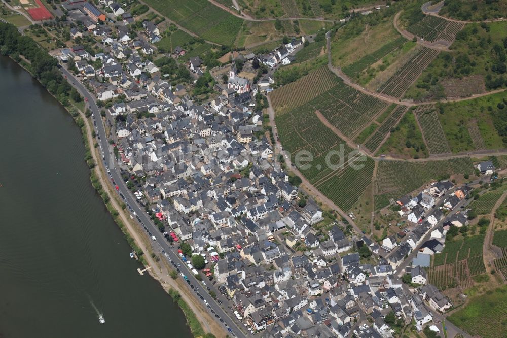 Ediger-Eller aus der Vogelperspektive: Dorfkern an den Fluss- Uferbereichen der Mosel in Ediger-Eller im Bundesland Rheinland-Pfalz, Deutschland