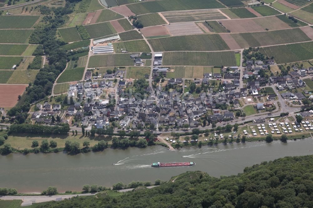 Erden von oben - Dorfkern an den Fluss- Uferbereichen der Mosel in Erden im Bundesland Rheinland-Pfalz, Deutschland