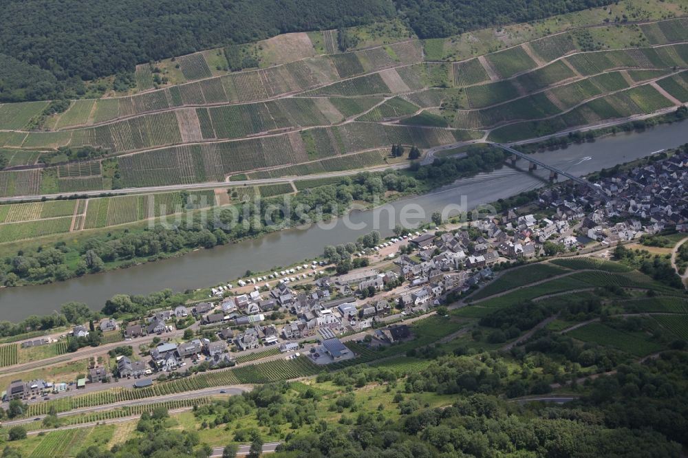 Luftaufnahme Reil - Dorfkern an den Fluss- Uferbereichen der Mosel in Reil im Bundesland Rheinland-Pfalz, Deutschland