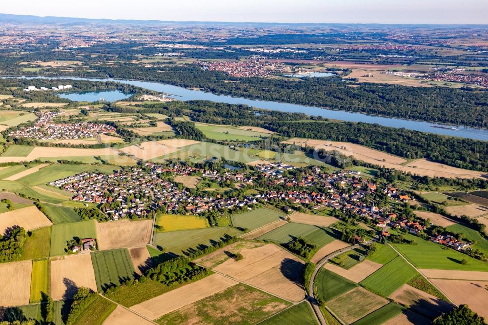 Luftbild Diersheim - Dorfkern an den Fluss- Uferbereichen des Rhein in Diersheim im Bundesland Baden-Württemberg, Deutschland