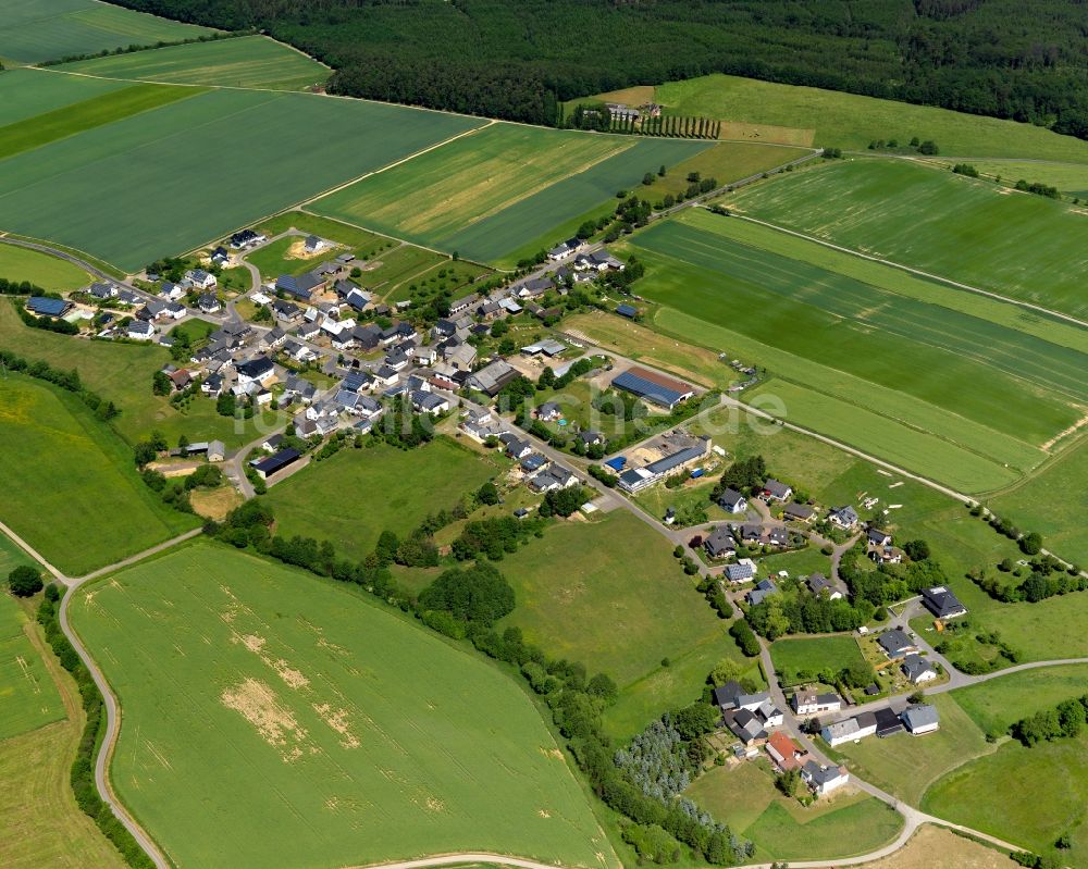 Luftaufnahme Fronhofen - Dorfkern in Fronhofen im Bundesland Rheinland-Pfalz