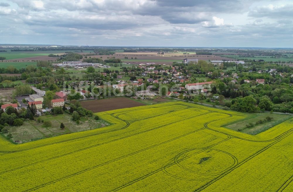 Luftaufnahme Golzow - Dorfkern in Golzow im Bundesland Brandenburg, Deutschland