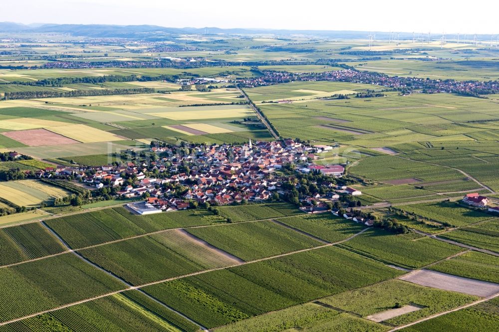 Gundheim aus der Vogelperspektive: Dorfkern in Gundheim im Bundesland Rheinland-Pfalz, Deutschland