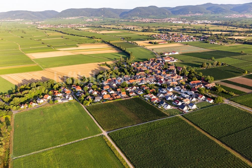 Kleinfischlingen aus der Vogelperspektive: Dorfkern in Kleinfischlingen im Bundesland Rheinland-Pfalz, Deutschland