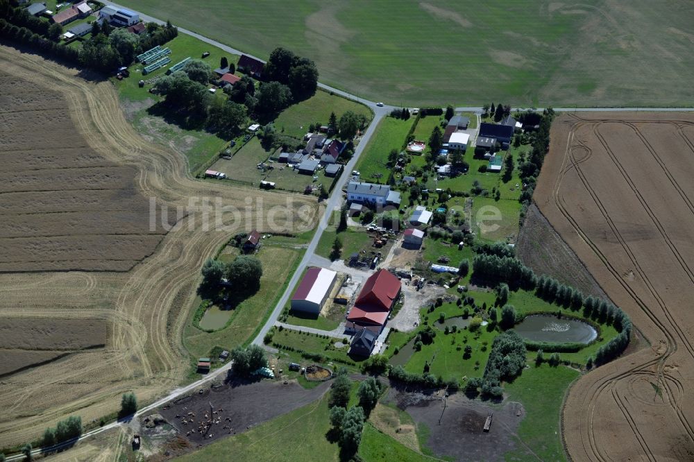 Lieblingshof aus der Vogelperspektive: Dorfkern in Lieblingshof im Bundesland Mecklenburg-Vorpommern