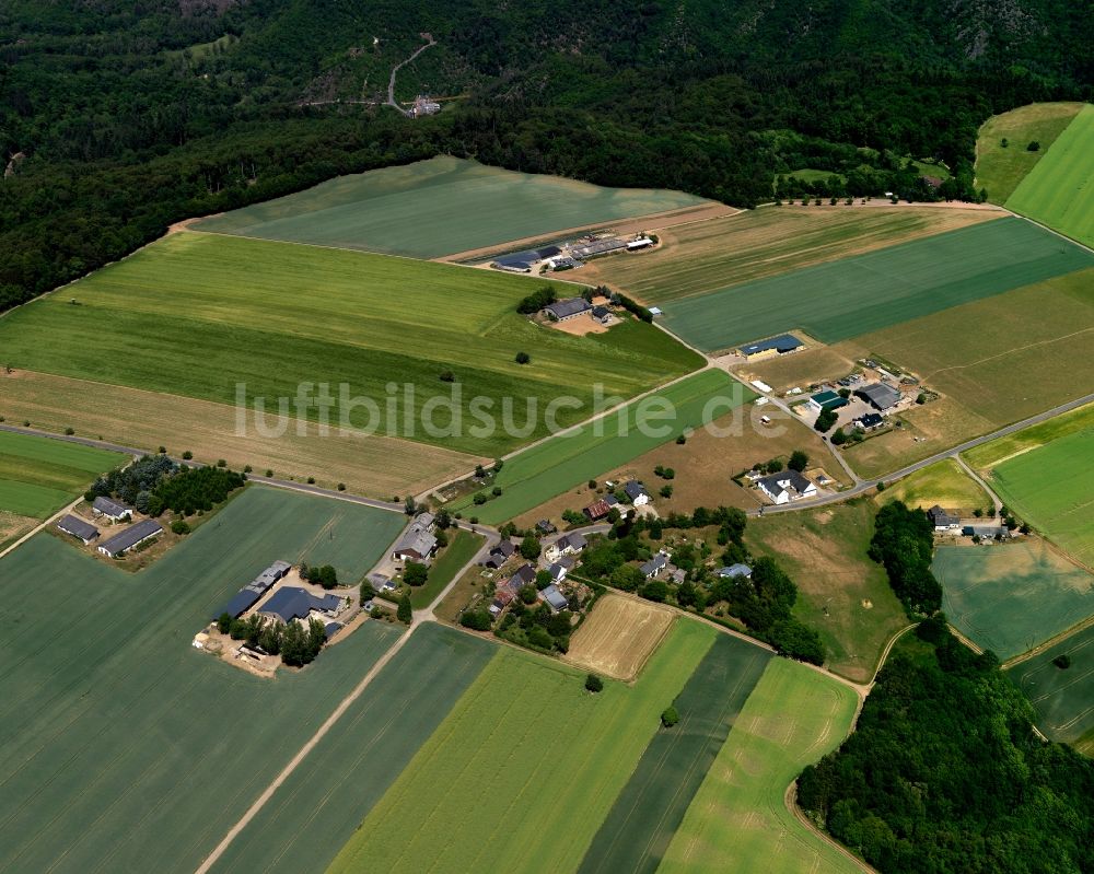 Müden (Mosel) aus der Vogelperspektive: Dorfkern in Müden (Mosel) im Bundesland Rheinland-Pfalz