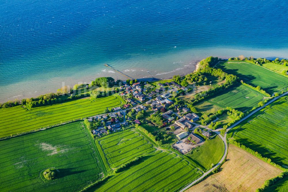 Quern aus der Vogelperspektive: Dorfkern am Meeres- Küstenbereich der Nieby in Quern im Bundesland Schleswig-Holstein, Deutschland