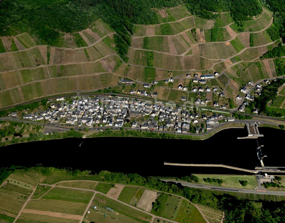 Neef von oben - Dorfkern in Neef im Bundesland Rheinland-Pfalz