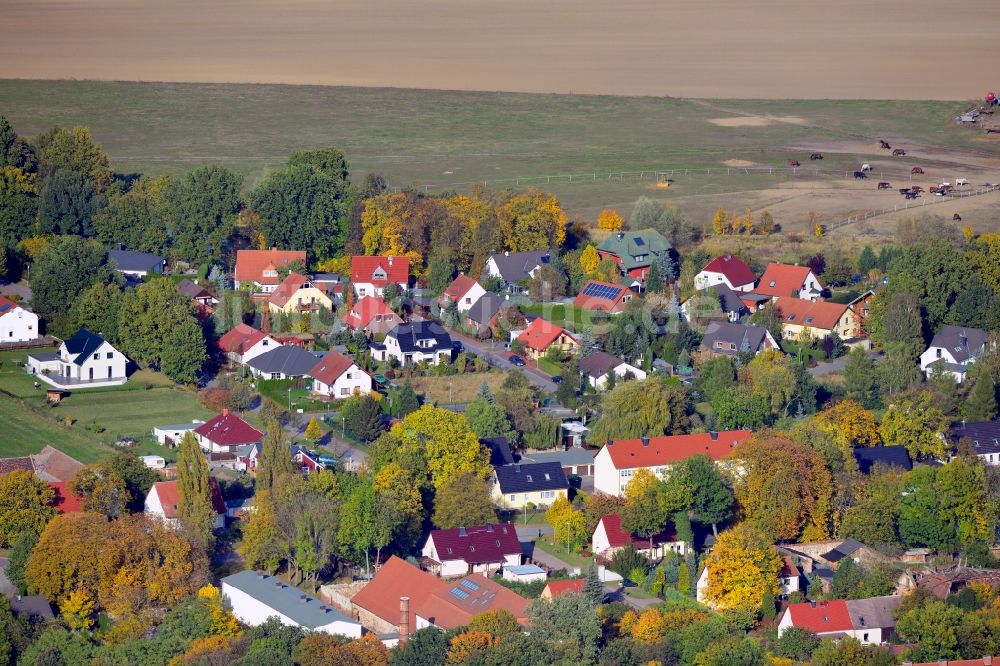 Luftbild Pietzpuhl - Dorfkern von Pietzpuhl im Bundesland Sachsen-Anhalt