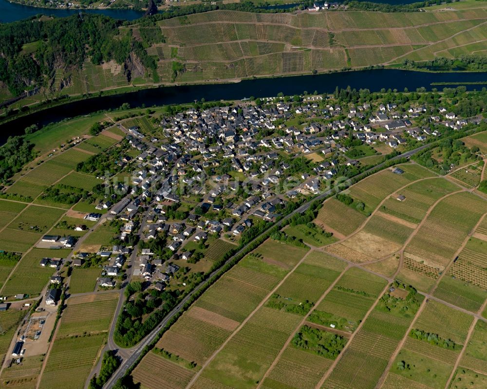 Pünderich von oben - Dorfkern in Pünderich im Bundesland Rheinland-Pfalz