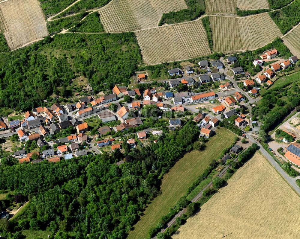 Raumbach aus der Vogelperspektive: Dorfkern in Raumbach im Bundesland Rheinland-Pfalz