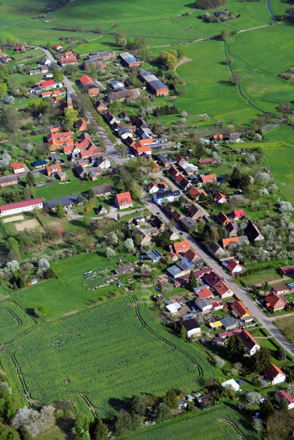 Temmen-Ringenwalde aus der Vogelperspektive: Dorfkern in Ringenwalde im Bundesland Brandenburg