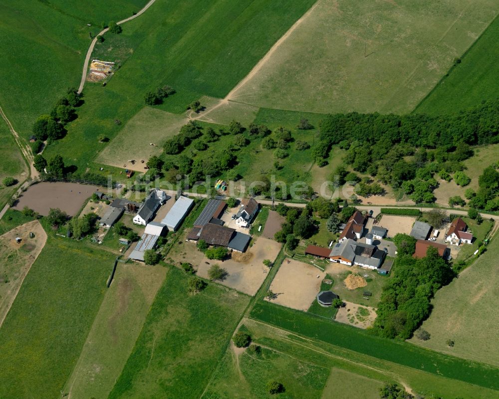 Schauren aus der Vogelperspektive: Dorfkern in Schauren im Bundesland Rheinland-Pfalz