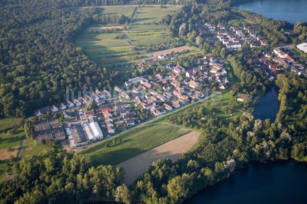 Lichtenau von oben - Dorfkern an den See- Uferbereichen des Rheinbaggersee im Ortsteil Grauelsbaum in Lichtenau im Bundesland Baden-Württemberg, Deutschland