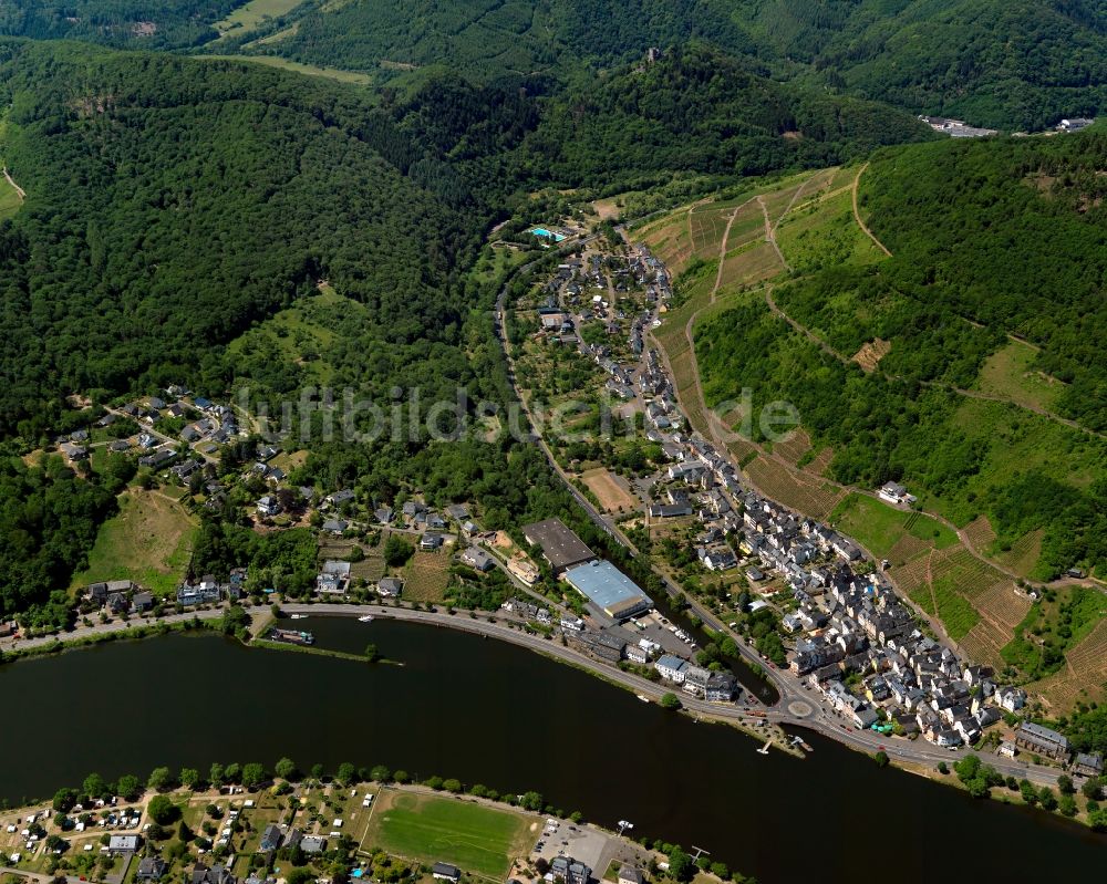 Alf aus der Vogelperspektive: Dorfkern am Ufer der Mosel in Alf im Bundesland Rheinland-Pfalz