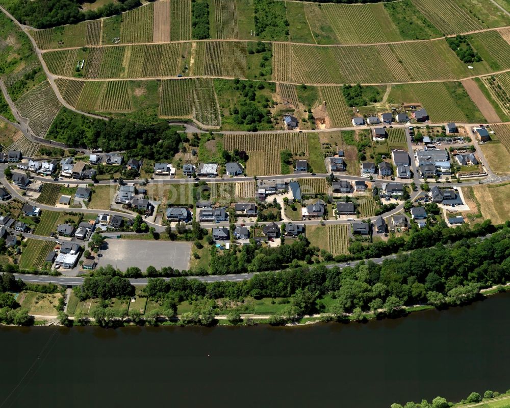 Briedel aus der Vogelperspektive: Dorfkern am Ufer der Mosel in Briedel im Bundesland Rheinland-Pfalz