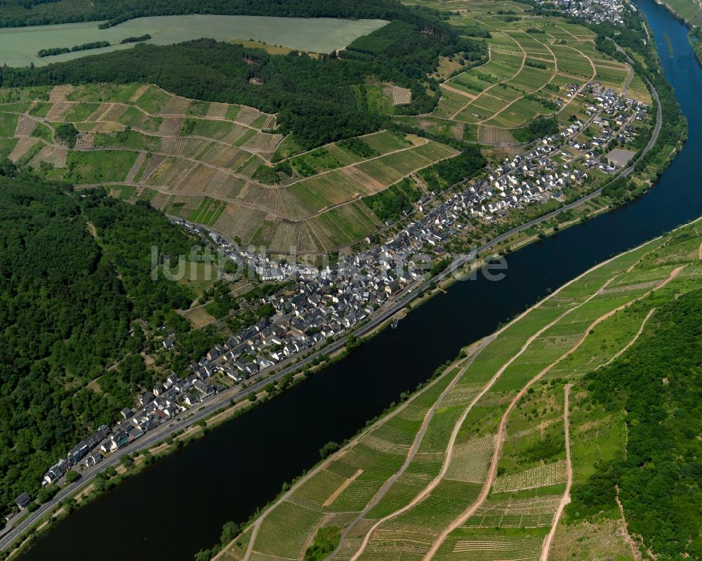 Luftaufnahme Briedel - Dorfkern am Ufer der Mosel in Briedel im Bundesland Rheinland-Pfalz