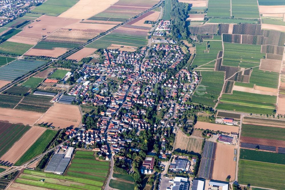 Luftaufnahme Weingarten (Pfalz) - Dorfkern in Weingarten (Pfalz) im Bundesland Rheinland-Pfalz, Deutschland