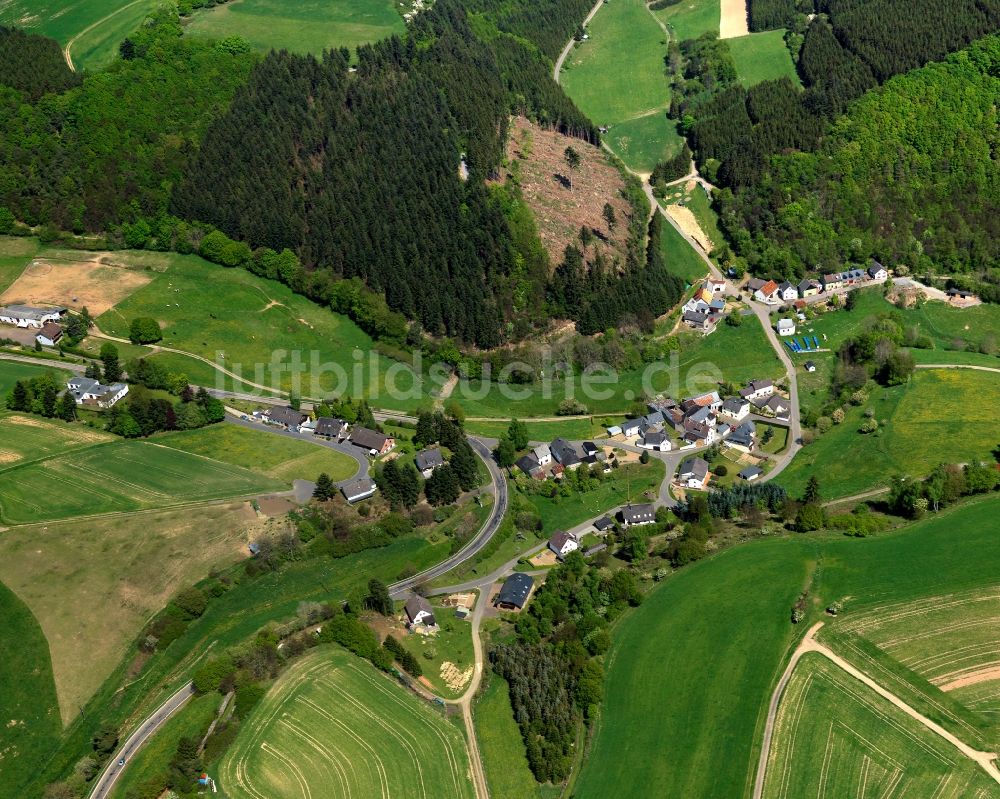 Luftaufnahme Welschenbach - Dorfkern in Welschenbach im Bundesland Rheinland-Pfalz