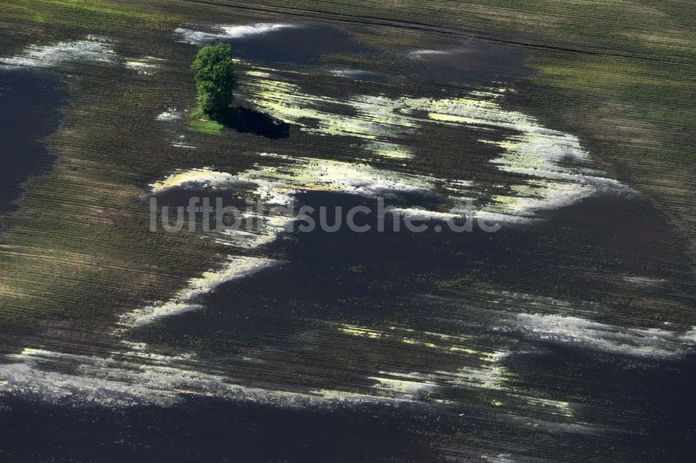 Luftaufnahme Brück - Durch Bodenerosion und Wasser geprägte Strukturen auf landwirtschaftlichen Feldern in Brück im Bundesland Brandenburg