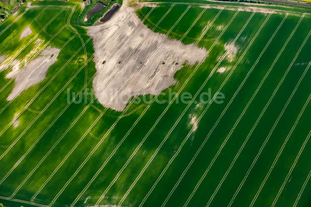 Großenbrode aus der Vogelperspektive: Durch Bodenerosion und Wasser geprägte Strukturen auf landwirtschaftlichen Feldern in Großenbrode im Bundesland Schleswig-Holstein, Deutschland