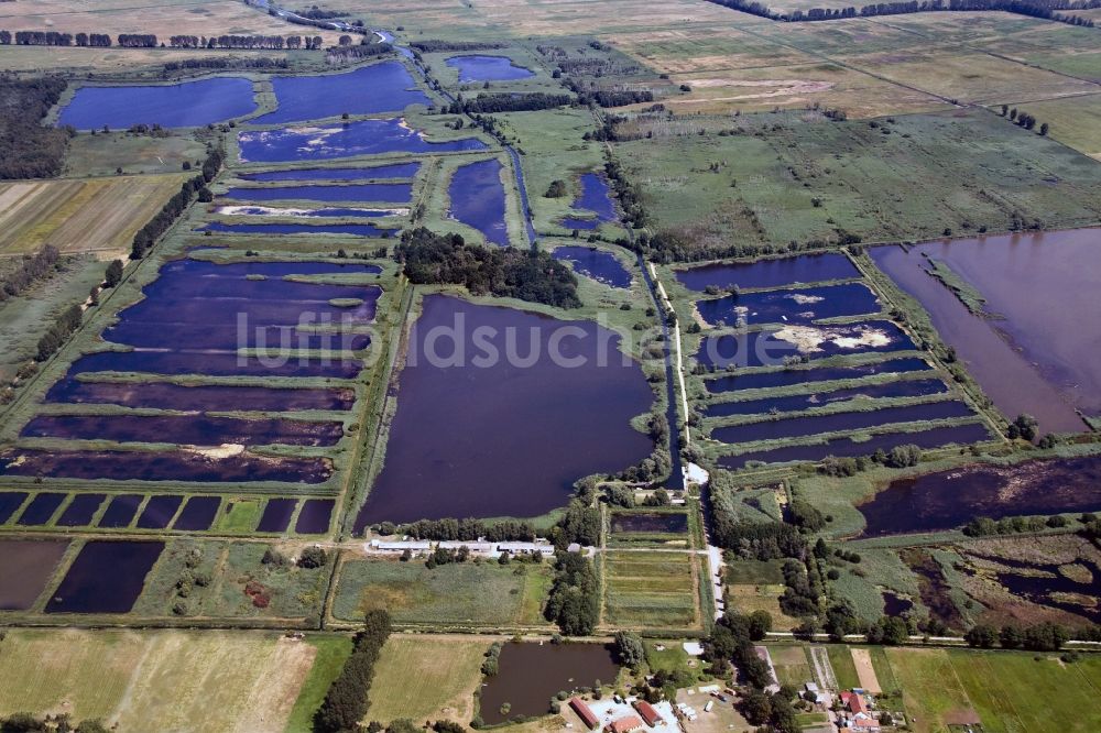 Linum aus der Vogelperspektive: Ehemalige Torfstich- heute Fisch- Teichlandschaft Linum im Bundesland Brandenburg