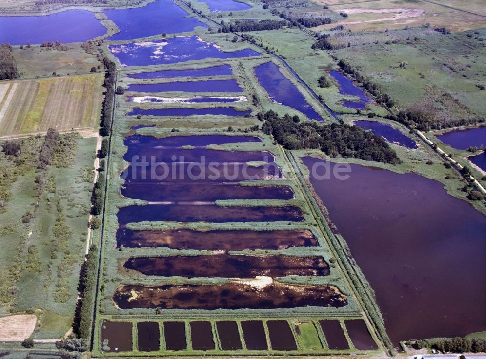 Luftbild Linum - Ehemalige Torfstich- heute Fisch- Teichlandschaft Linum im Bundesland Brandenburg