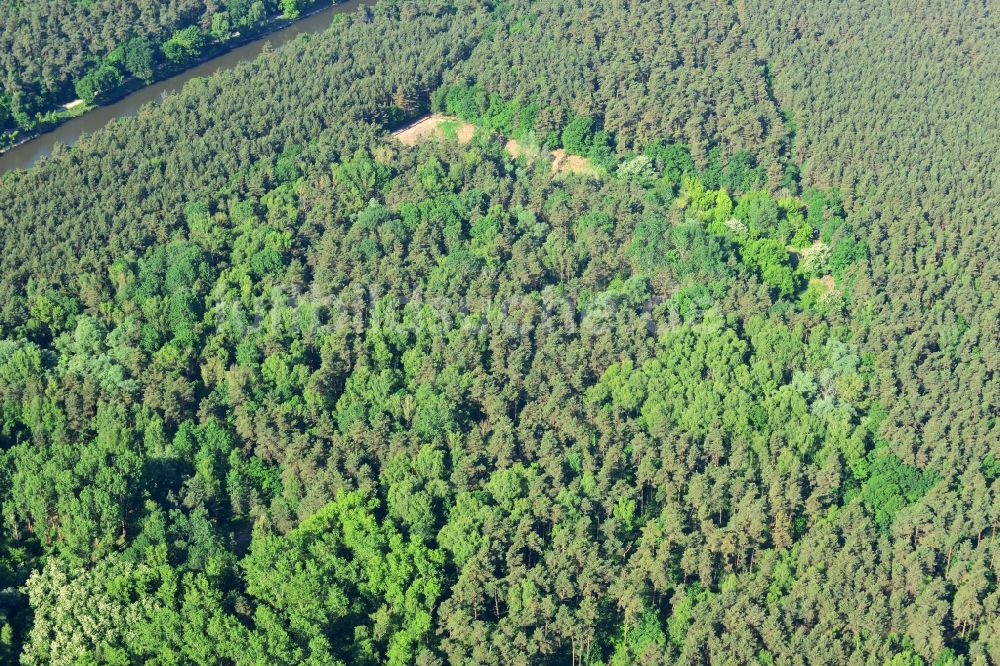 Bensdorf von oben - Eidechsenersatzquartier am Elbe-Havel-Kanal in Bensdorf im Bundesland Brandenburg