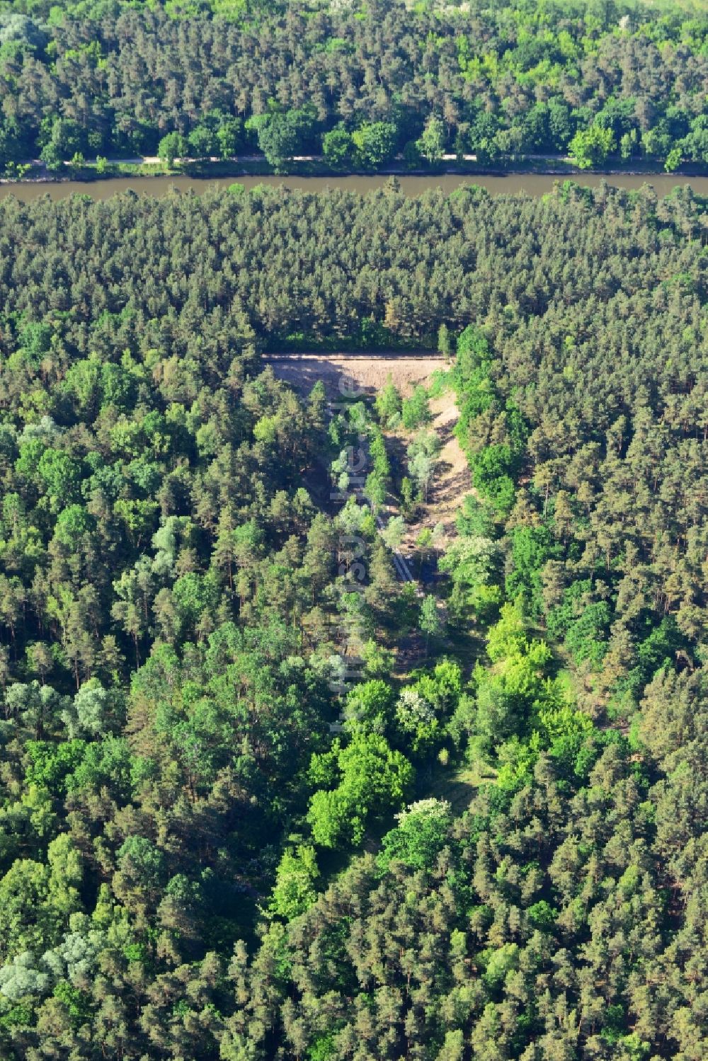 Bensdorf aus der Vogelperspektive: Eidechsenersatzquartier am Elbe-Havel-Kanal in Bensdorf im Bundesland Brandenburg