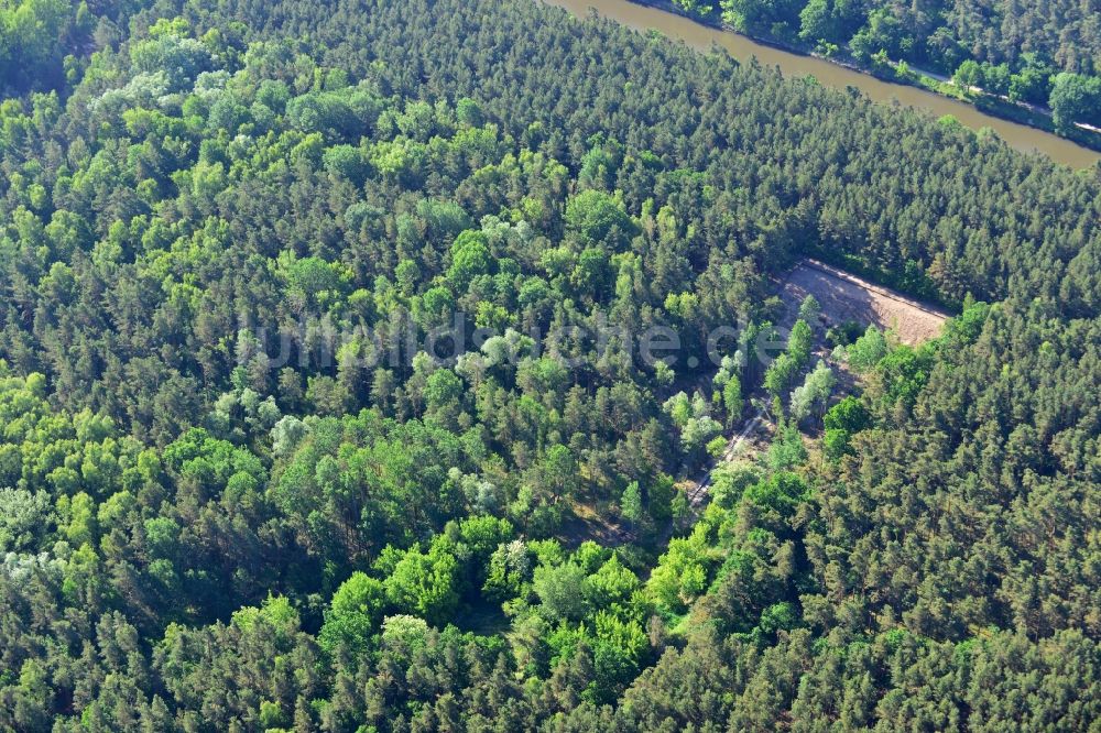 Luftaufnahme Bensdorf - Eidechsenersatzquartier am Elbe-Havel-Kanal in Bensdorf im Bundesland Brandenburg