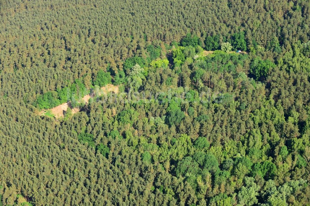 Luftbild Bensdorf - Eidechsenersatzquartier am Elbe-Havel-Kanal in Bensdorf im Bundesland Brandenburg